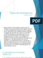 Tipos de Inteligencia