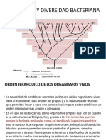 Taxonomia Bacteriana