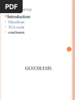 Glycolysis and TCA Cycle