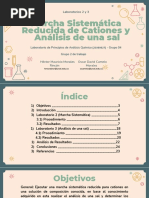 Marcha Sistemática Reducida de Cationes