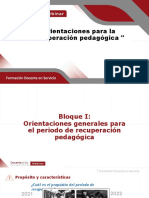 Orientaciones para La Recuperacion Pedagogica