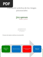 Evaluacion Practica de Los Riesgos Psicosociales