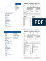 Formato de Reporte PCR