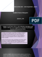 Tarea 3. Analizar La Interacción Suelo-Microorganismo-Planta.