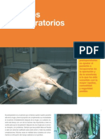 6-Cuidados Postoperatorios