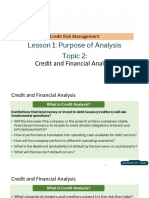 Lesson1 Topic 2 Credit and Financial Analysis-Notes