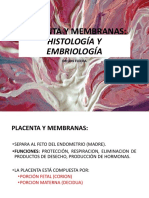 PLACENTA