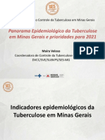 2 - Panorama Epidemiológico Da Tuberculose em Minas Gerais e Prioridades para 2021 - Maíra Veloso