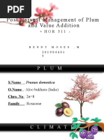 Post Harvest Managemnt of Plum and Value Addition