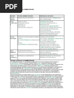 Teorias Basicas de La Administracion