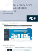 Tutorial Carga Ief 2021