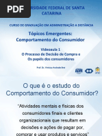 Comportamento Do Consumidor 2