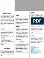 Triptico de Los Modelos Organizacionales