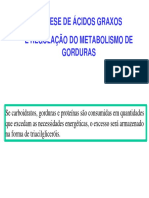 Biossíntese e Degradação Acidos Graxos Bioquímica 2006