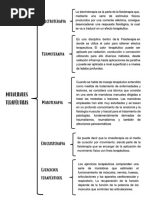 Modalidades Tearapeuticas