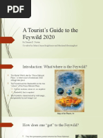 A Tourist's Guide To The Feywild 2020