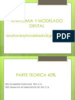 Sistema Dentario y Terminologia Dentaria