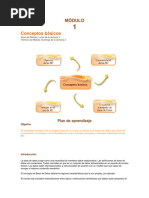 MÓDULO 1 Base Datso