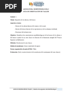 2.1-GUIA DEL TALLER ESQUELETO DE LA CABEZA Y DEL TRONCO-desbloqueado