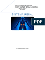 Sistema Renal