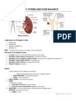 Urinary System