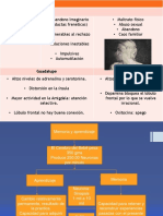 Parte 1 Mapas Cerebrales2