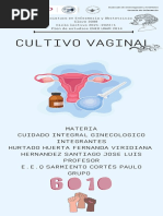 Cultivo Vaginal