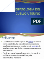 Patologia Del Cuello Uterino