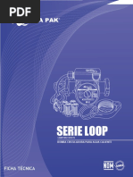 FOLLETO Ficha Técnica Termostato para Bomba Loop3v