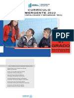 Curriculo Emergente-3ro - Baìsico-2022pdf