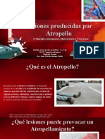 Lesiones Producidas Por Atropello