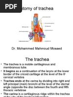 Anatomy of Trachea: Dr. Mohammed Mahmoud Mosaed