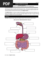 Lesson: Digestive System: Activity 1