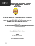 Informe Final Modificado