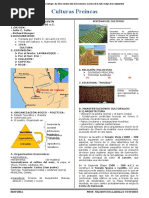 Teorias de Las Culturas Preincas