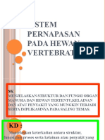 Sistem Pernapasan Pada Hewan Vertebrata