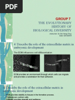 The Evolutionary History of Biological Diversity: Group 7