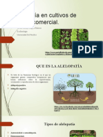 Alelopatía en Cultivos de Interés Comercial