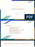 Kel 5. Sistem Saraf Pusat Dan Perifer