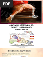 Biomecanica Tobillo