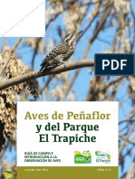 Libro Aves Web