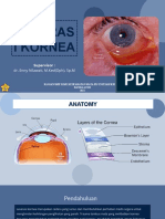 DR - Enny - Laserasi Kornea