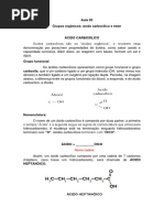 2 - Ácido Carboxílico e Éster