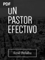 Un Pastor Efectivo. Rene Peñalba