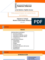 Traumastismo Genital Externo