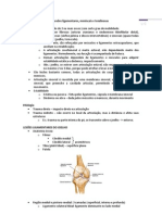 Lesões Ligamentares, Tendinosas e Meniscais