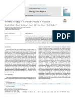 Infertility Secondary To An Infected Hydrocele A Case Report