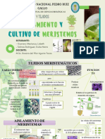 Cultivo de Meristemos