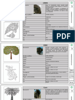 Fichas Técnicas Iluminarias y Especies Vegetales