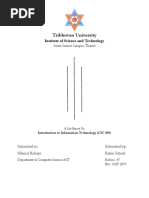 IIT Lab Report